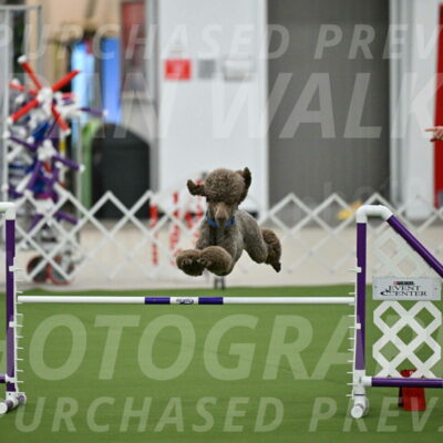 MAS-EX-JWW-20-Inch_2543