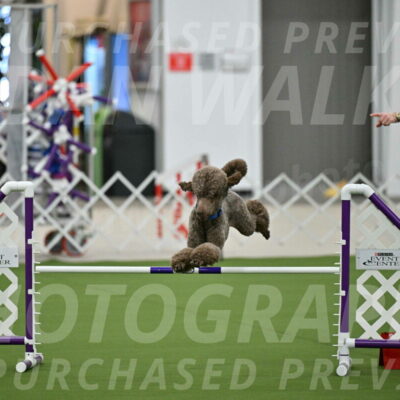 MAS-EX-JWW-20-Inch_2544