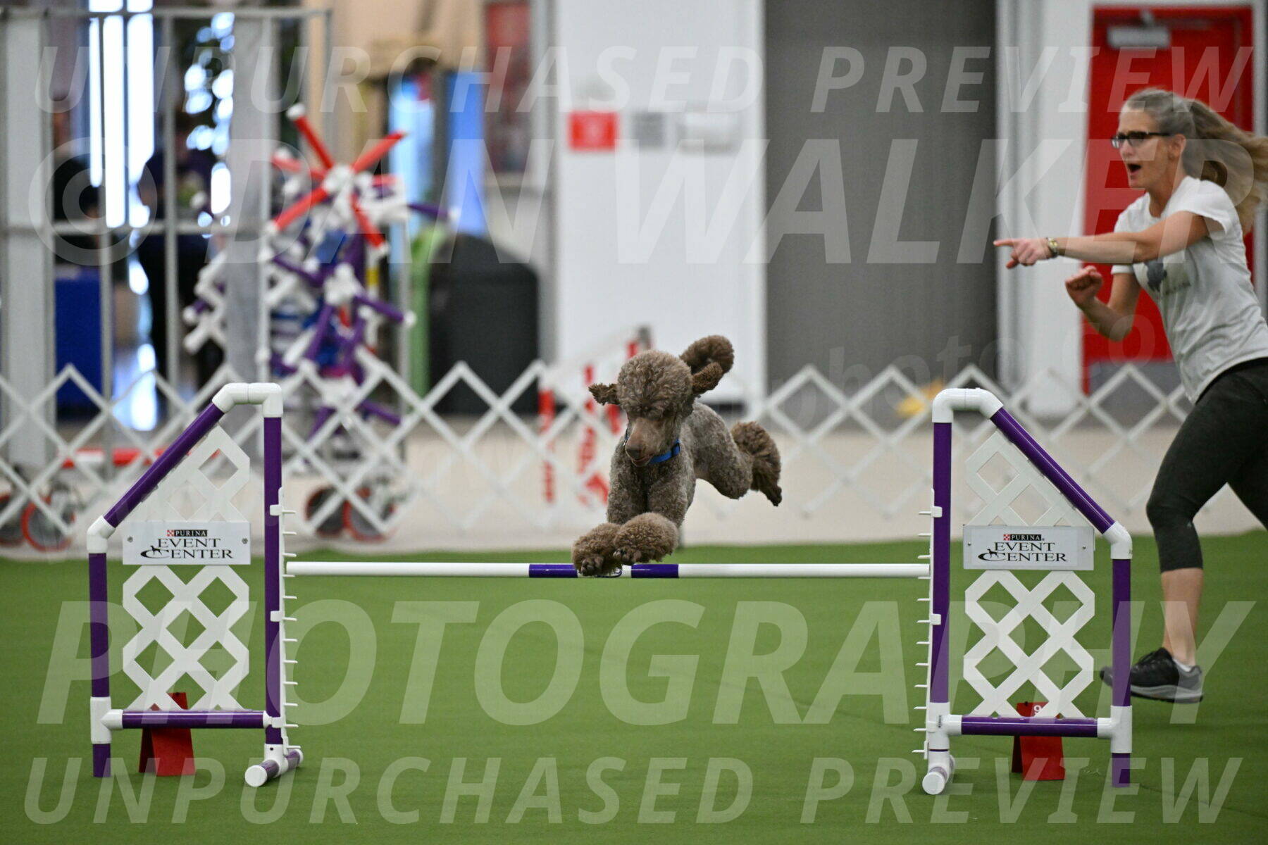 MAS-EX-JWW-20-Inch_2544