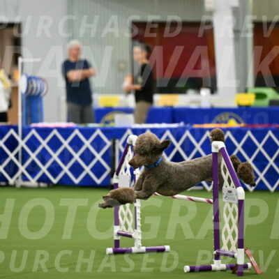 MAS-EX-JWW-20-Inch_2546