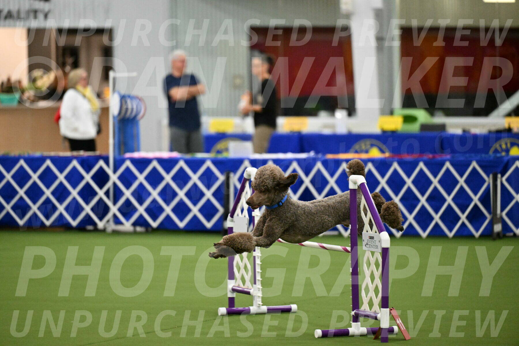 MAS-EX-JWW-20-Inch_2546