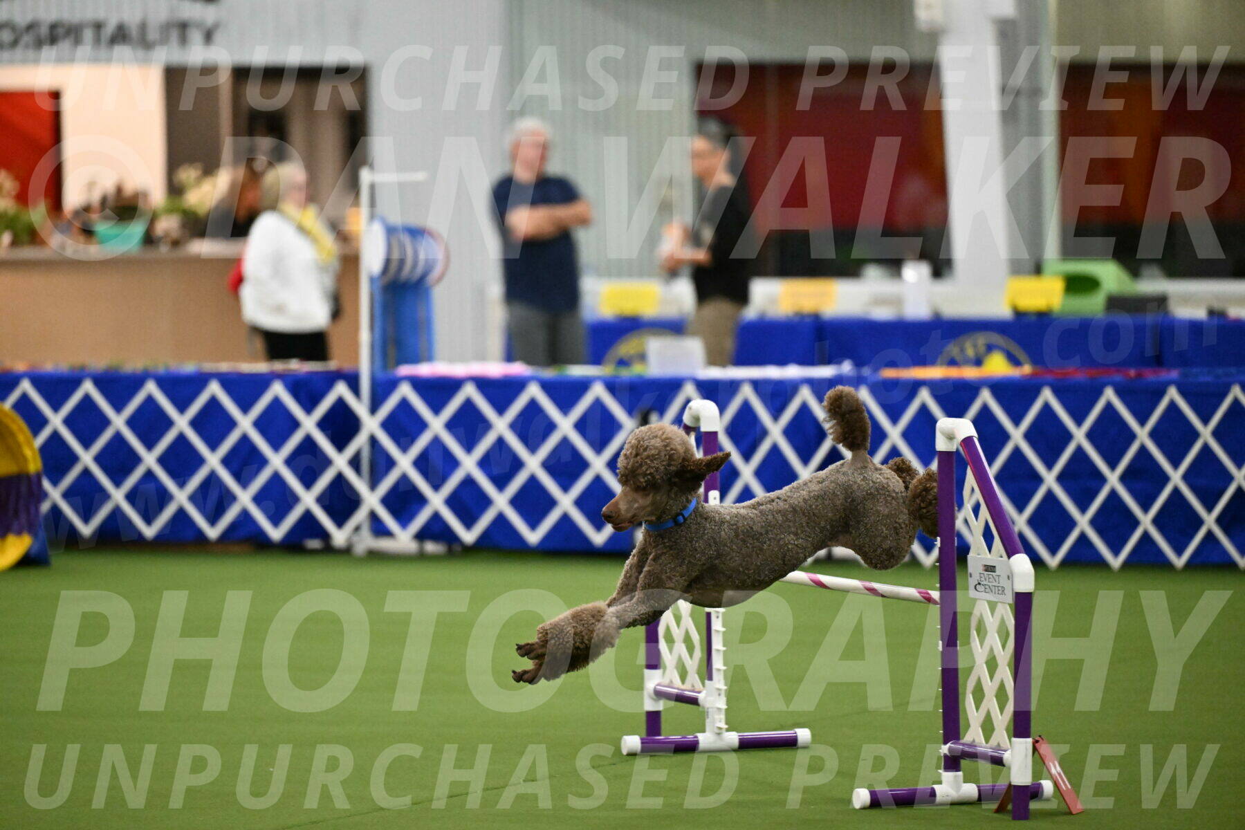 MAS-EX-JWW-20-Inch_2547