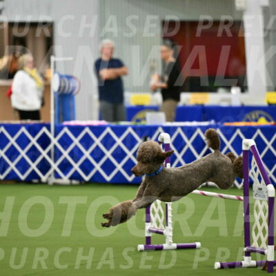 MAS-EX-JWW-20-Inch_2547