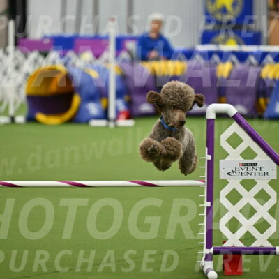 MAS-EX-JWW-20-Inch_2550