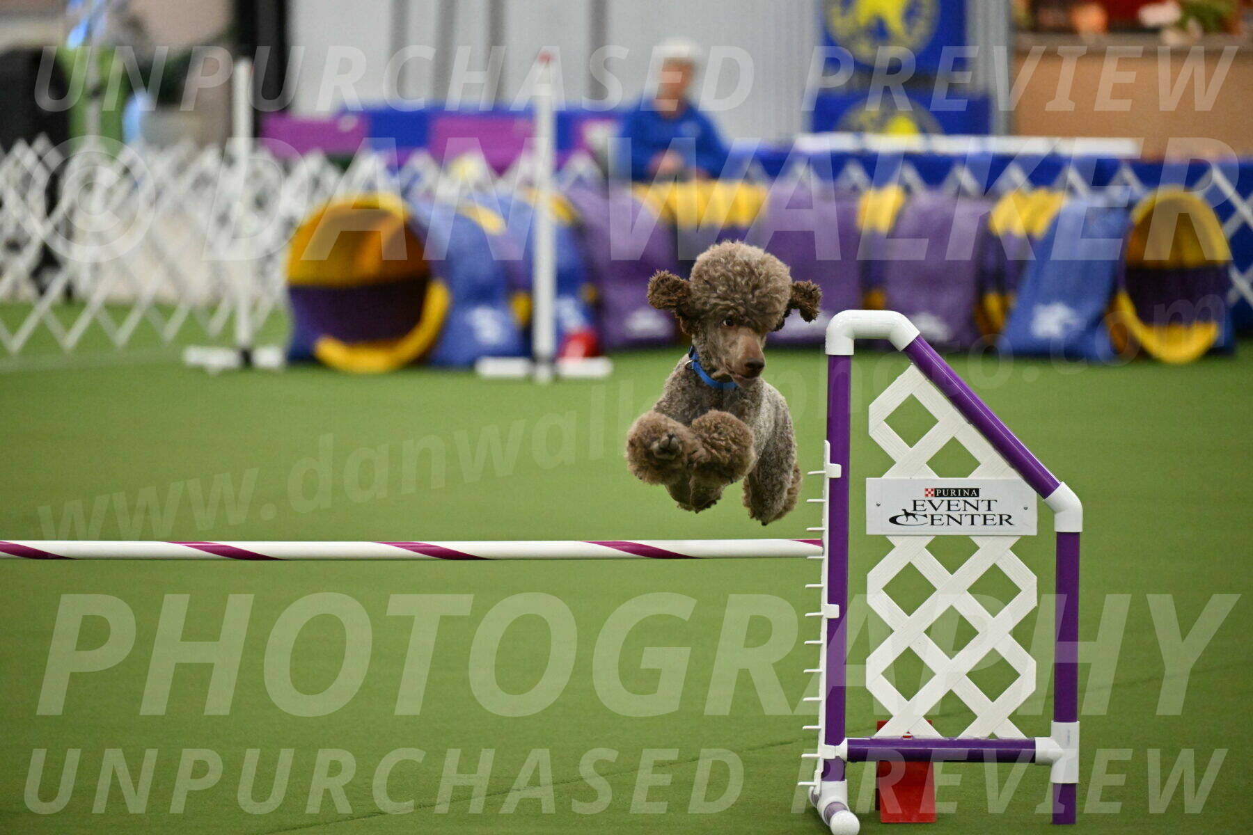 MAS-EX-JWW-20-Inch_2550