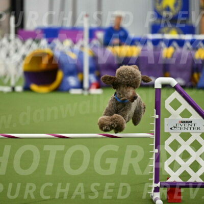 MAS-EX-JWW-20-Inch_2551