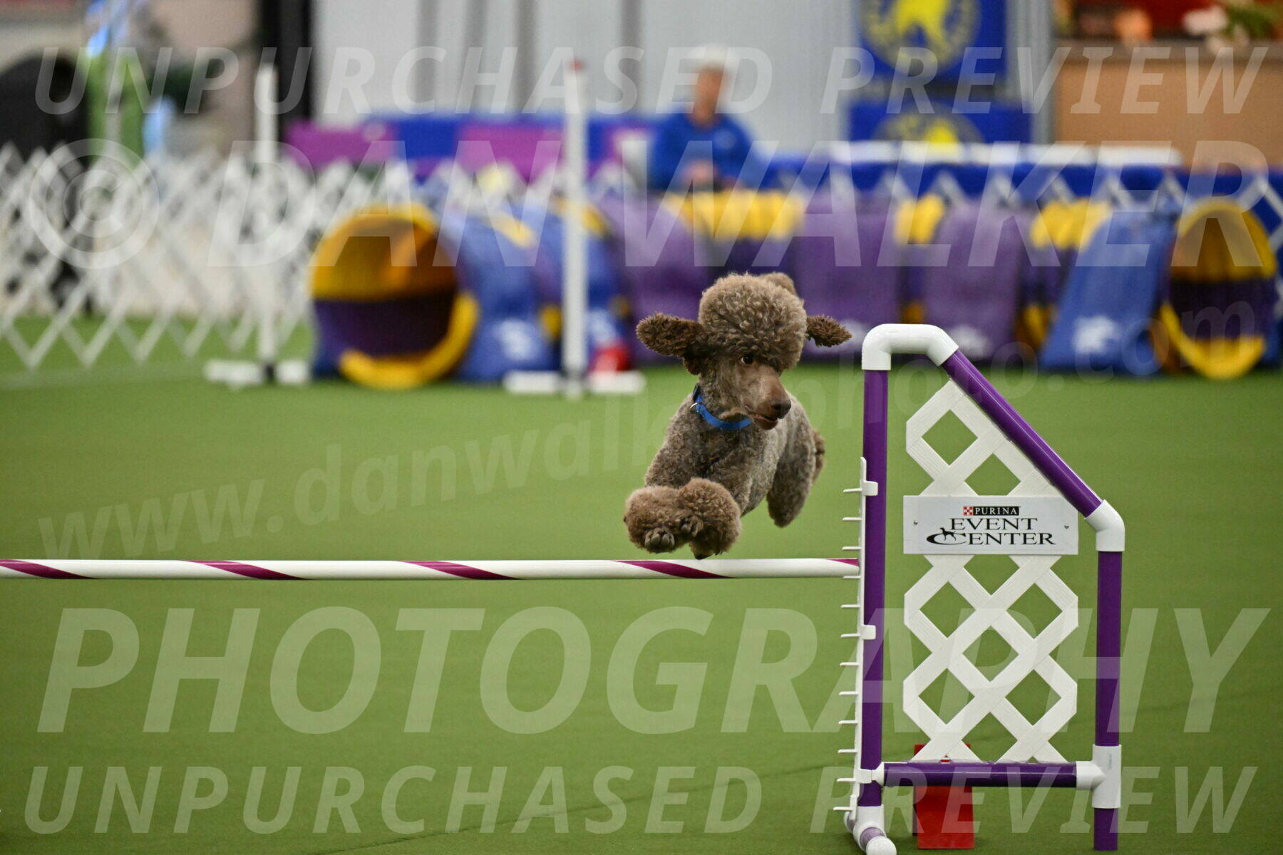 MAS-EX-JWW-20-Inch_2551