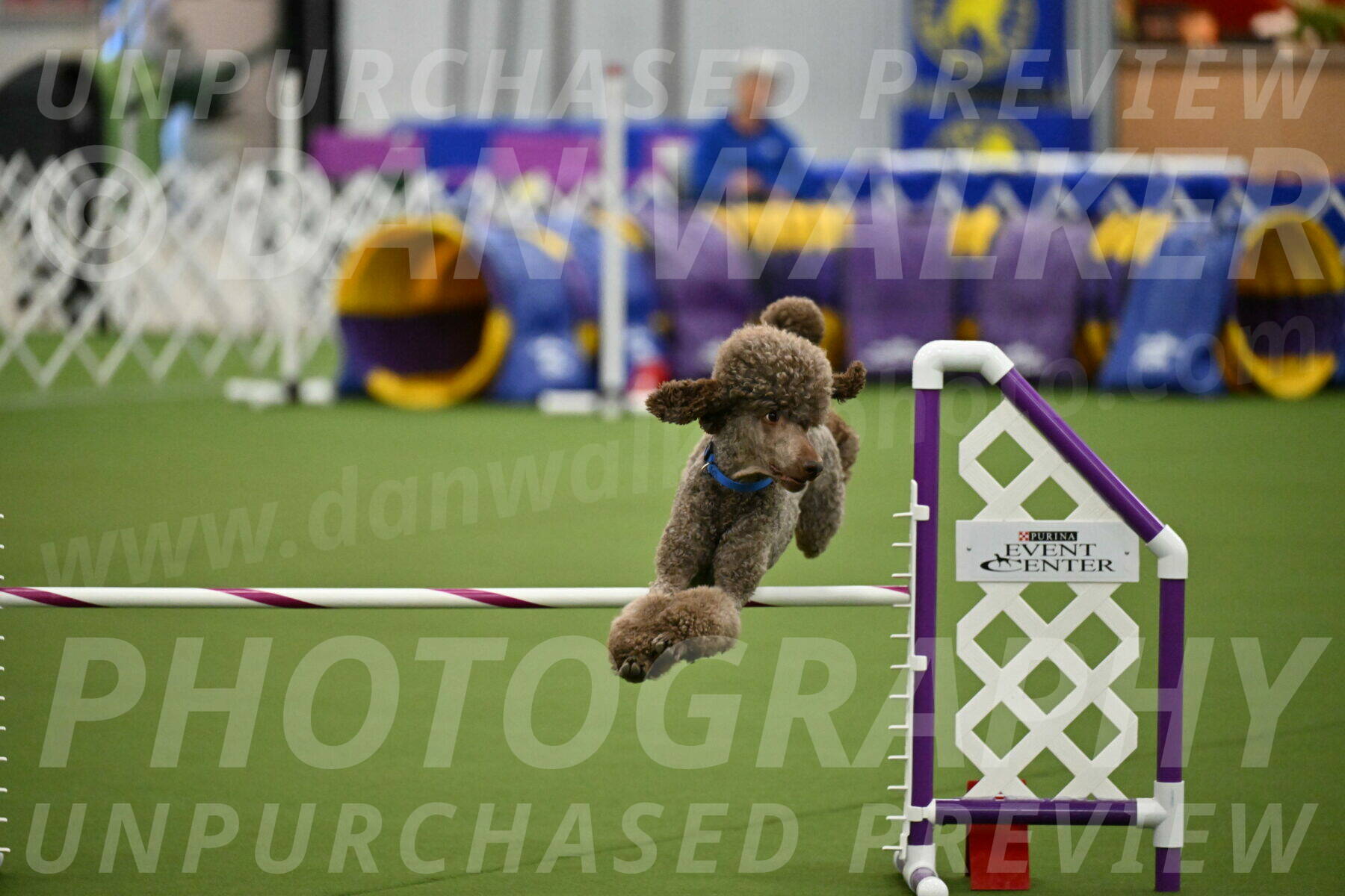 MAS-EX-JWW-20-Inch_2552