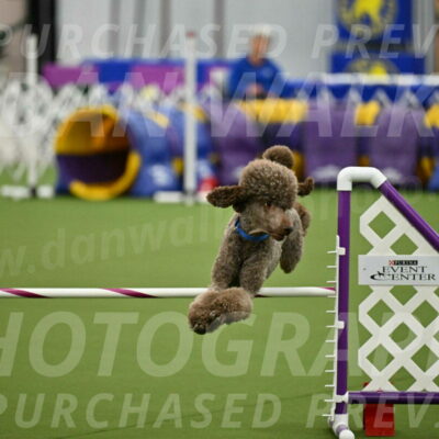 MAS-EX-JWW-20-Inch_2552