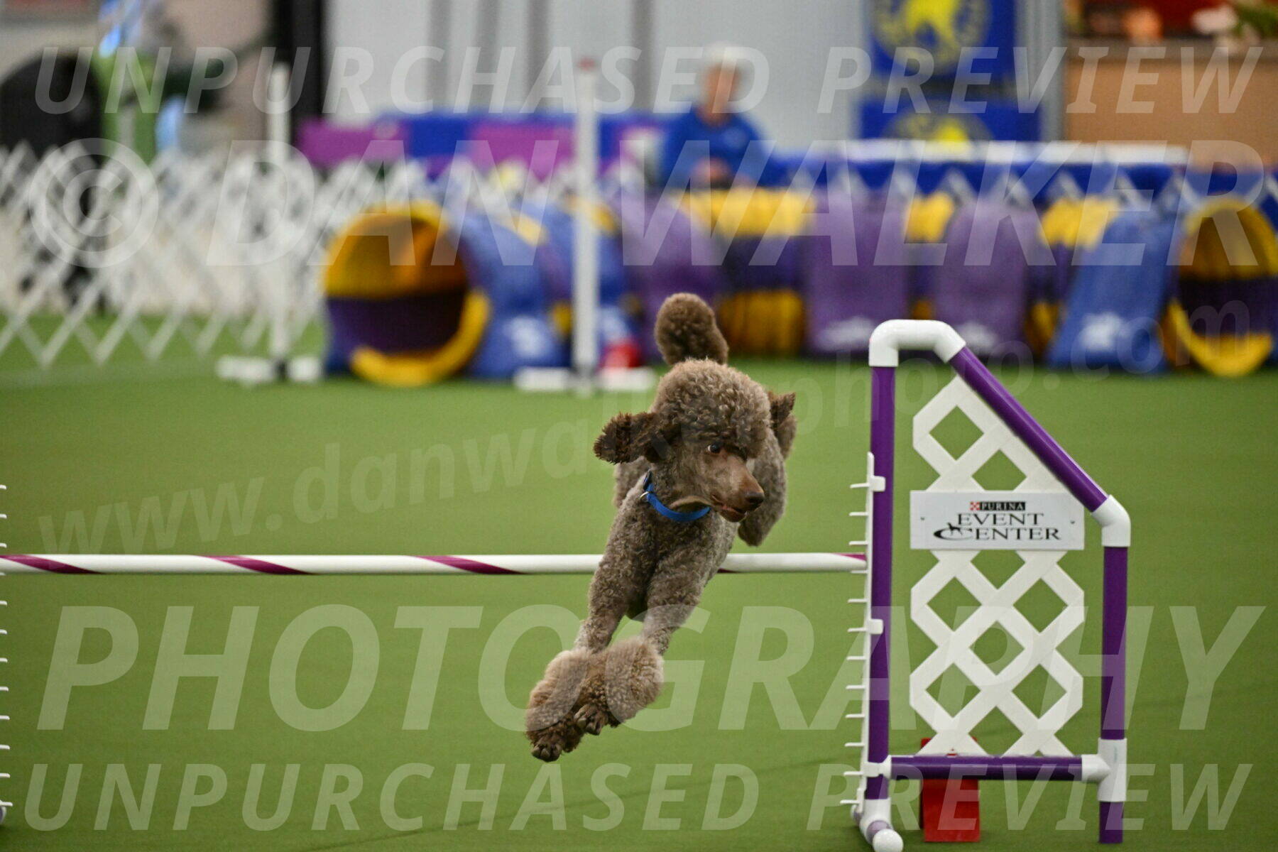 MAS-EX-JWW-20-Inch_2553