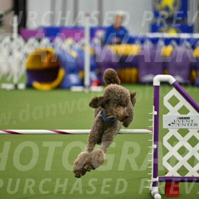 MAS-EX-JWW-20-Inch_2553