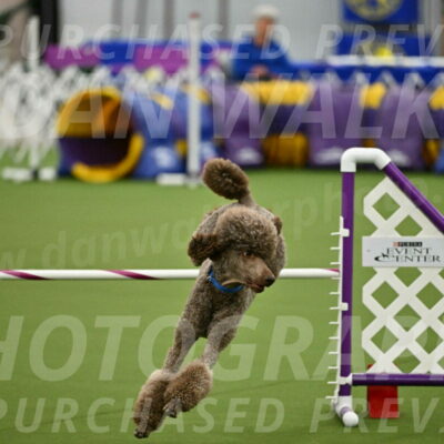 MAS-EX-JWW-20-Inch_2554