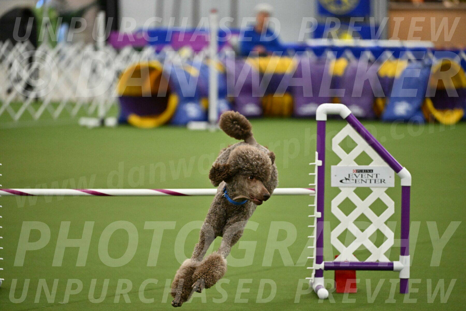 MAS-EX-JWW-20-Inch_2554