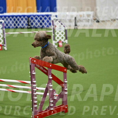 MAS-EX-JWW-20-Inch_2569