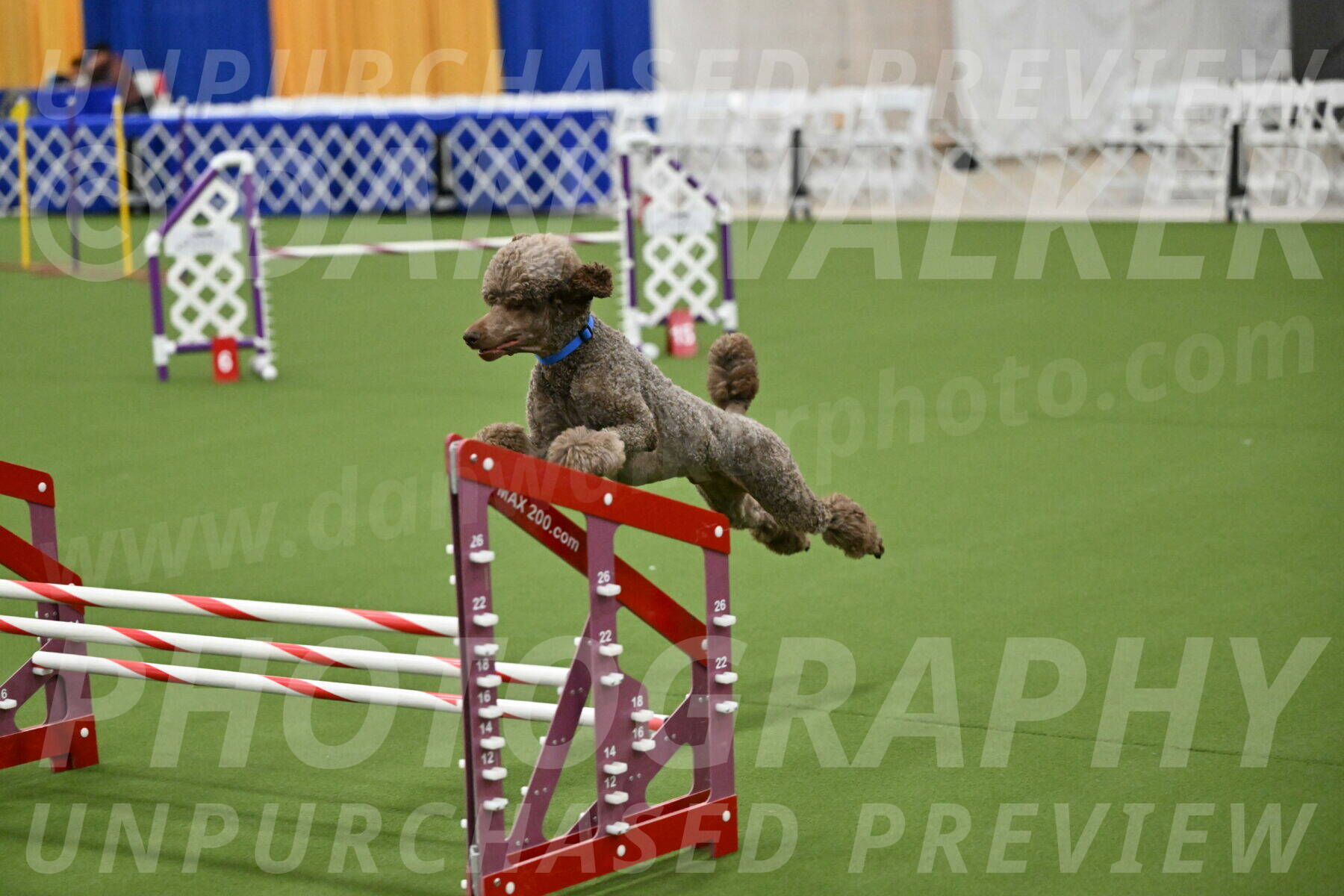 MAS-EX-JWW-20-Inch_2569