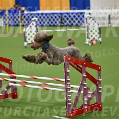 MAS-EX-JWW-20-Inch_2570