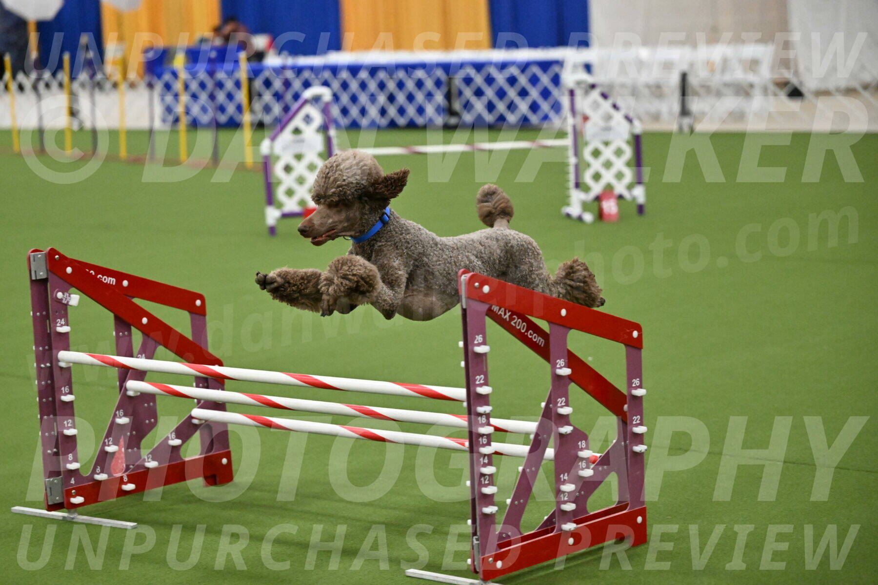 MAS-EX-JWW-20-Inch_2570