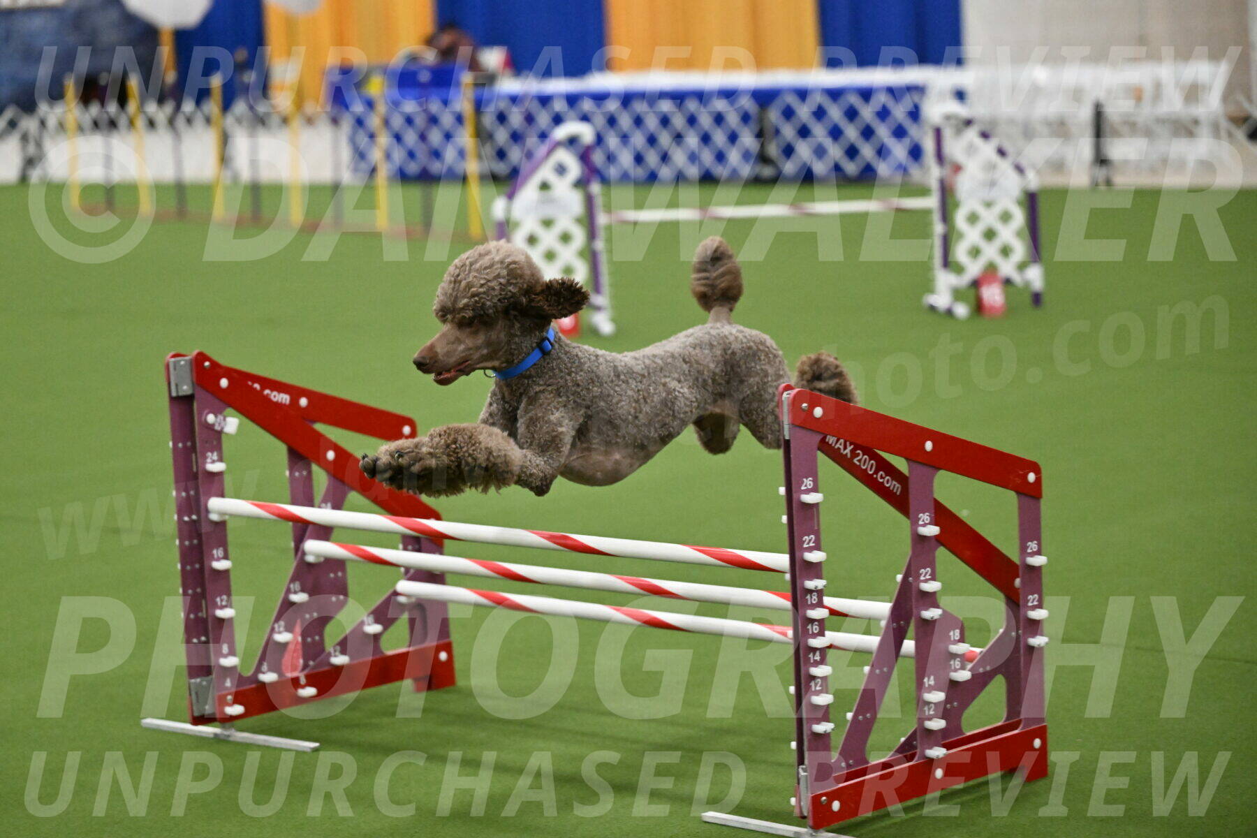 MAS-EX-JWW-20-Inch_2571