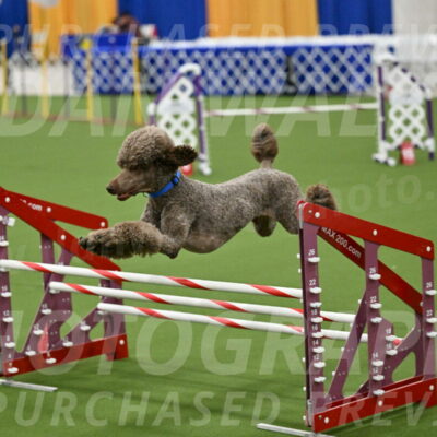 MAS-EX-JWW-20-Inch_2571