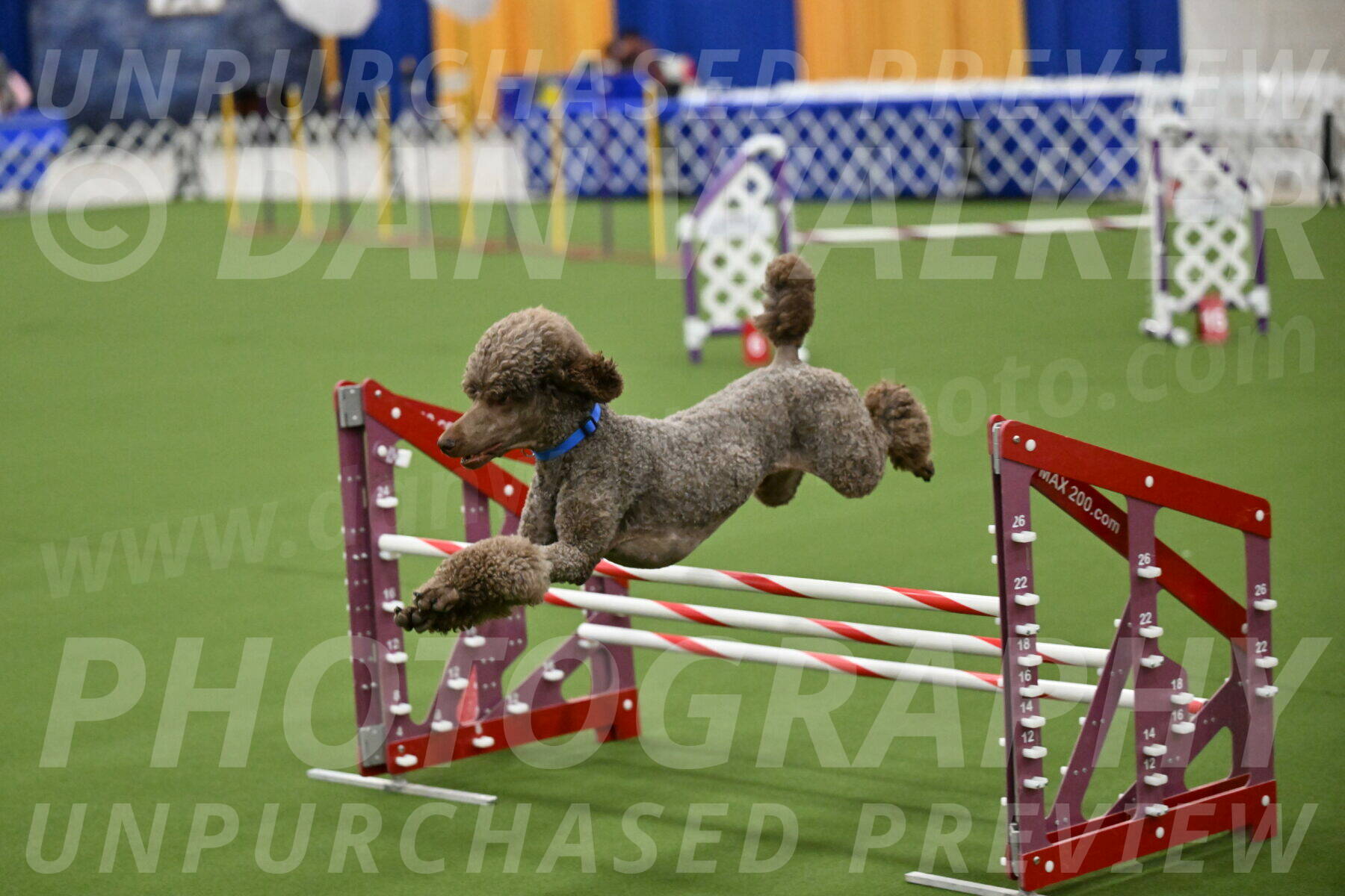 MAS-EX-JWW-20-Inch_2572