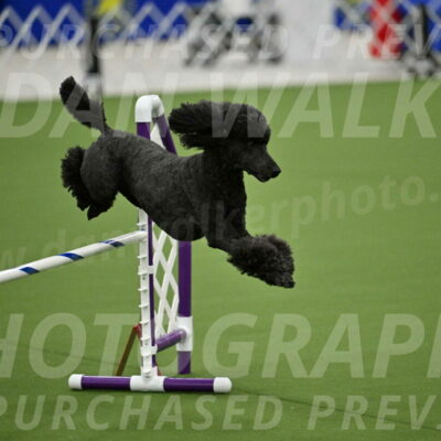 MAS-EX-JWW-20-Inch_2597