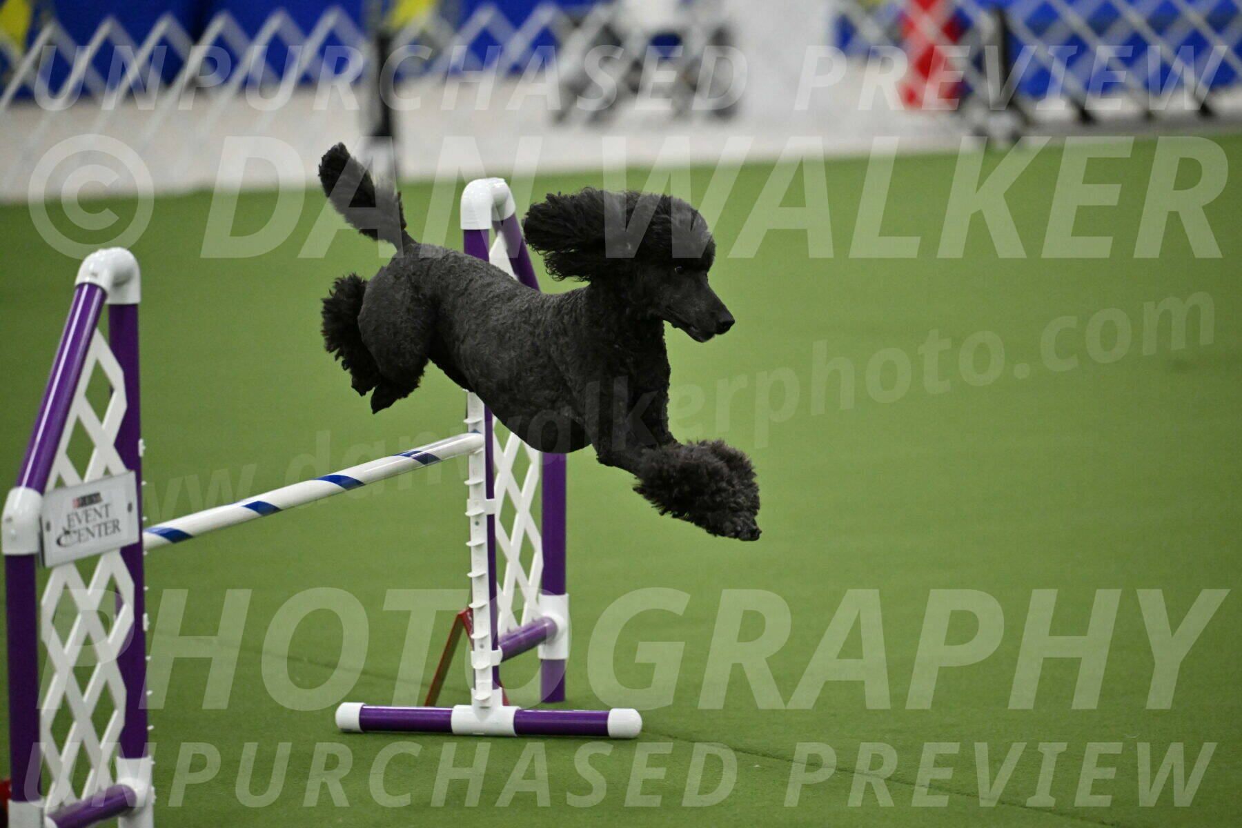 MAS-EX-JWW-20-Inch_2597