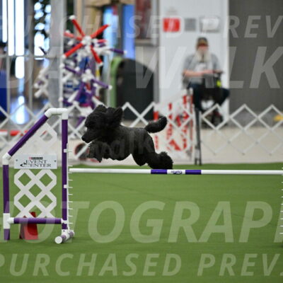 MAS-EX-JWW-20-Inch_2609