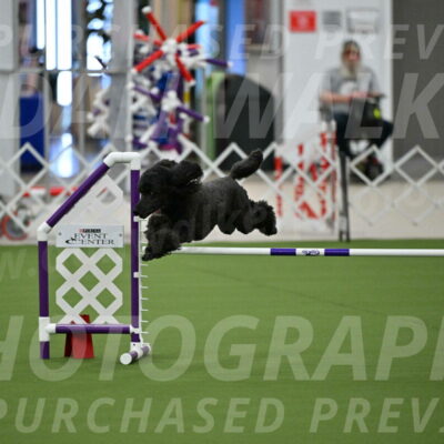 MAS-EX-JWW-20-Inch_2610