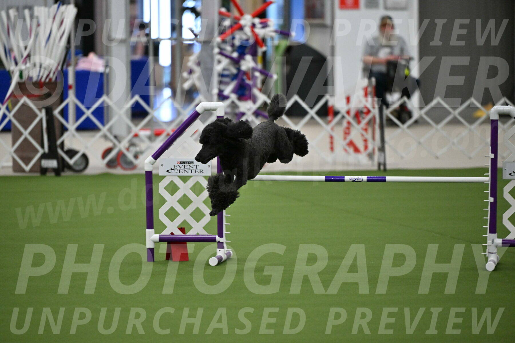 MAS-EX-JWW-20-Inch_2611