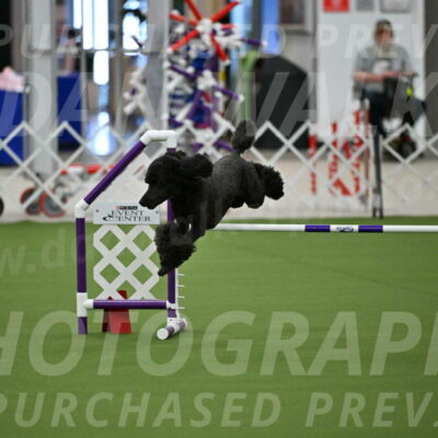 MAS-EX-JWW-20-Inch_2611