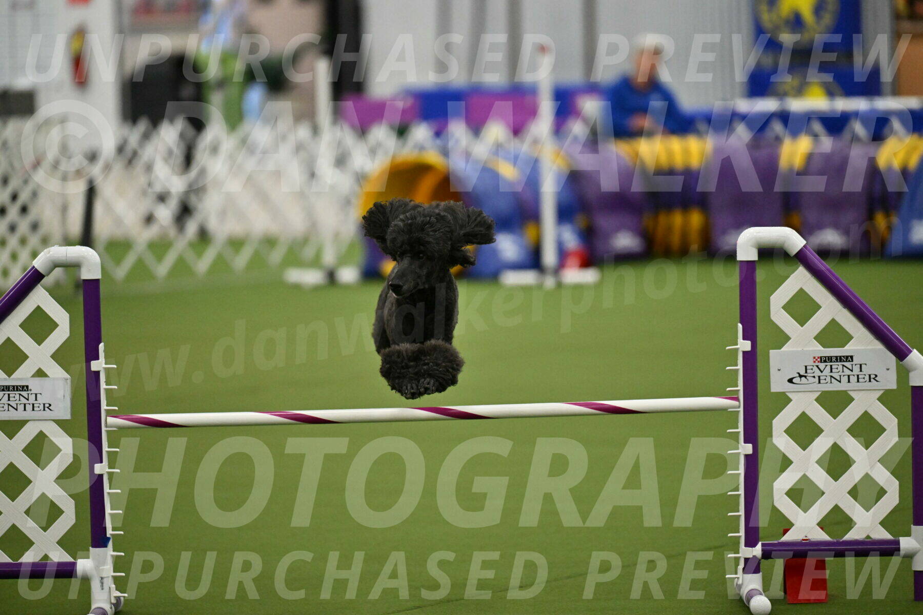 MAS-EX-JWW-20-Inch_2621