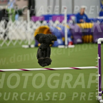 MAS-EX-JWW-20-Inch_2621