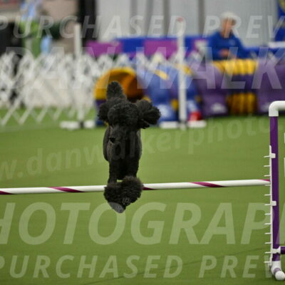 MAS-EX-JWW-20-Inch_2622