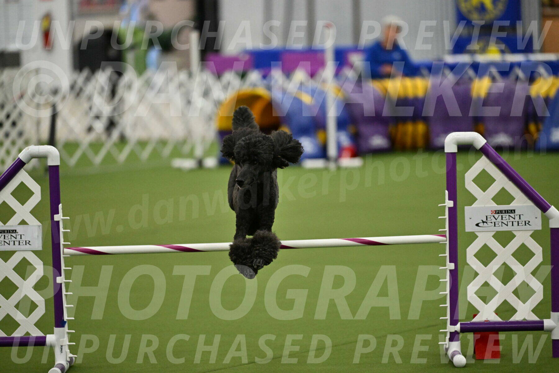 MAS-EX-JWW-20-Inch_2622