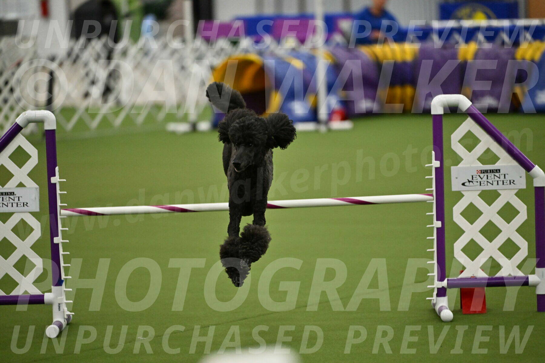 MAS-EX-JWW-20-Inch_2623