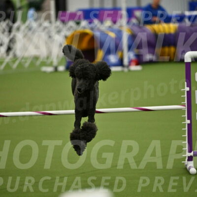 MAS-EX-JWW-20-Inch_2623