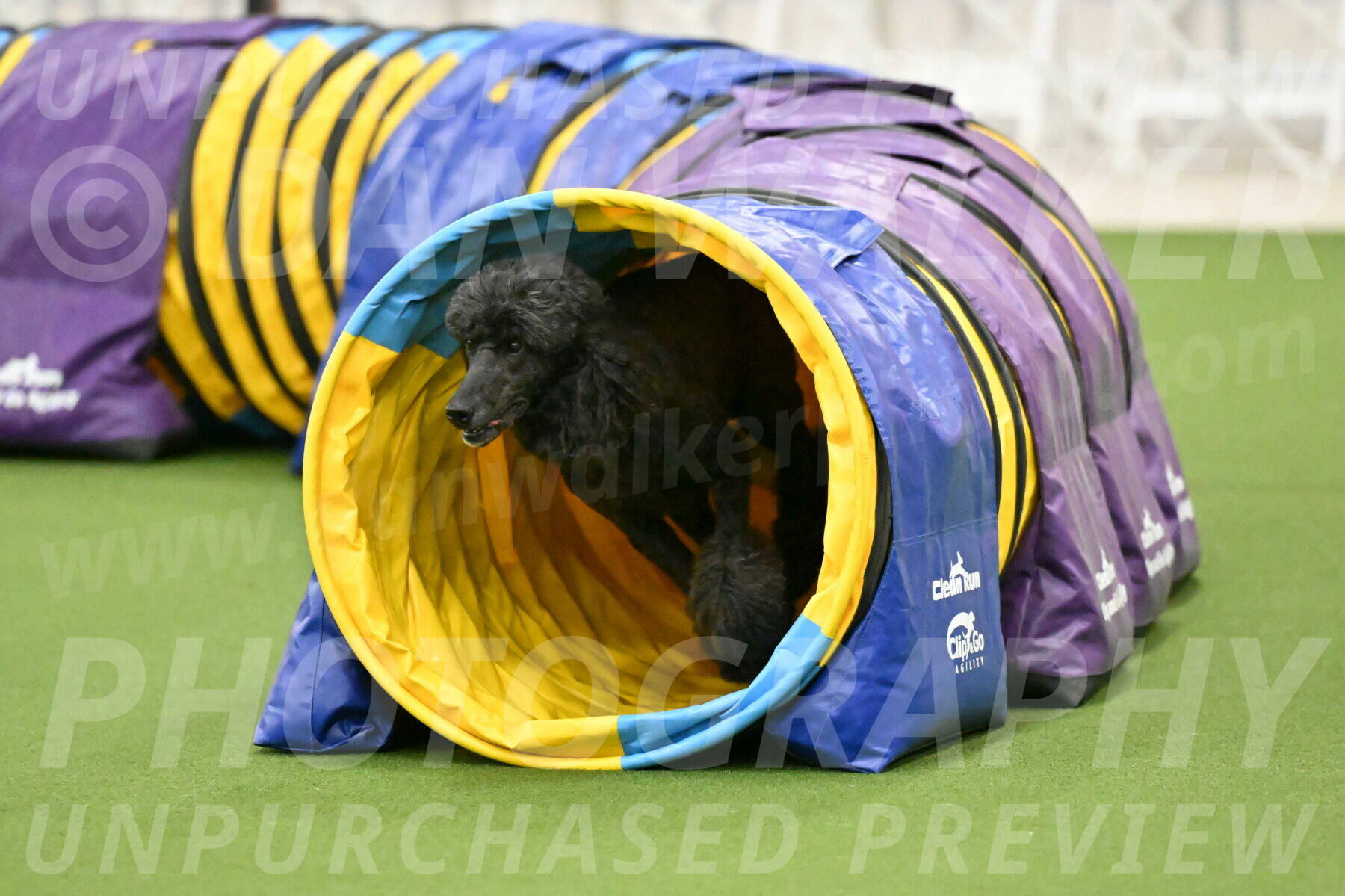 MAS-EX-JWW-20-Inch_2635