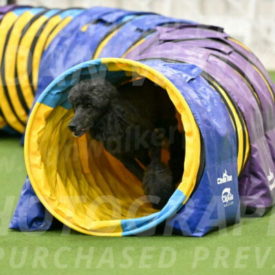 MAS-EX-JWW-20-Inch_2635