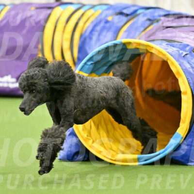 MAS-EX-JWW-20-Inch_2636