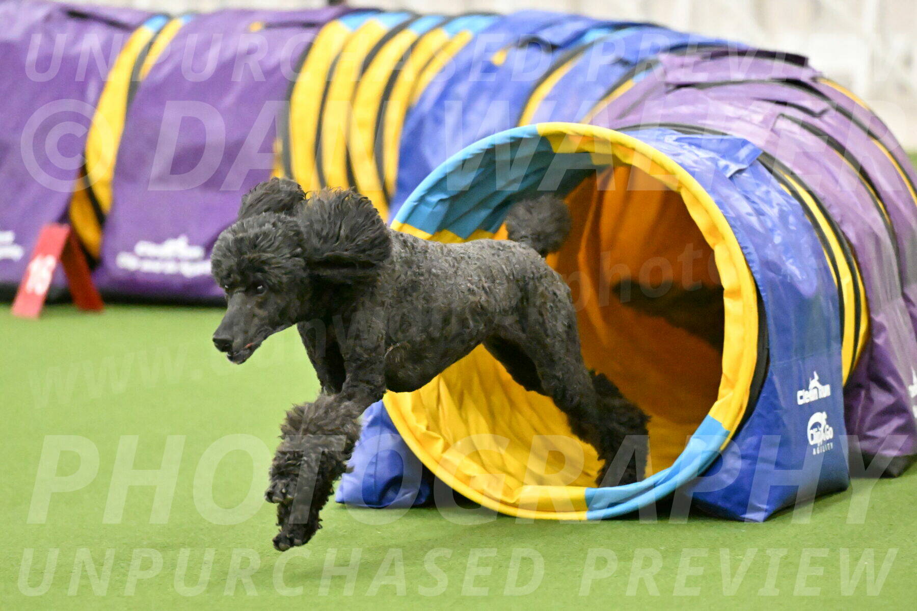 MAS-EX-JWW-20-Inch_2636