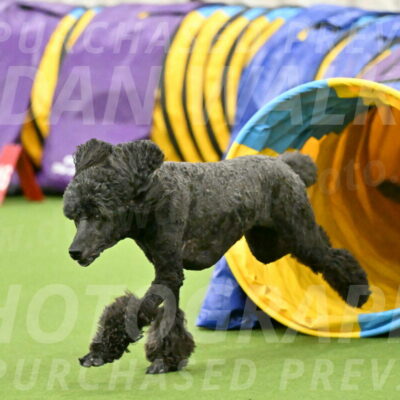 MAS-EX-JWW-20-Inch_2637