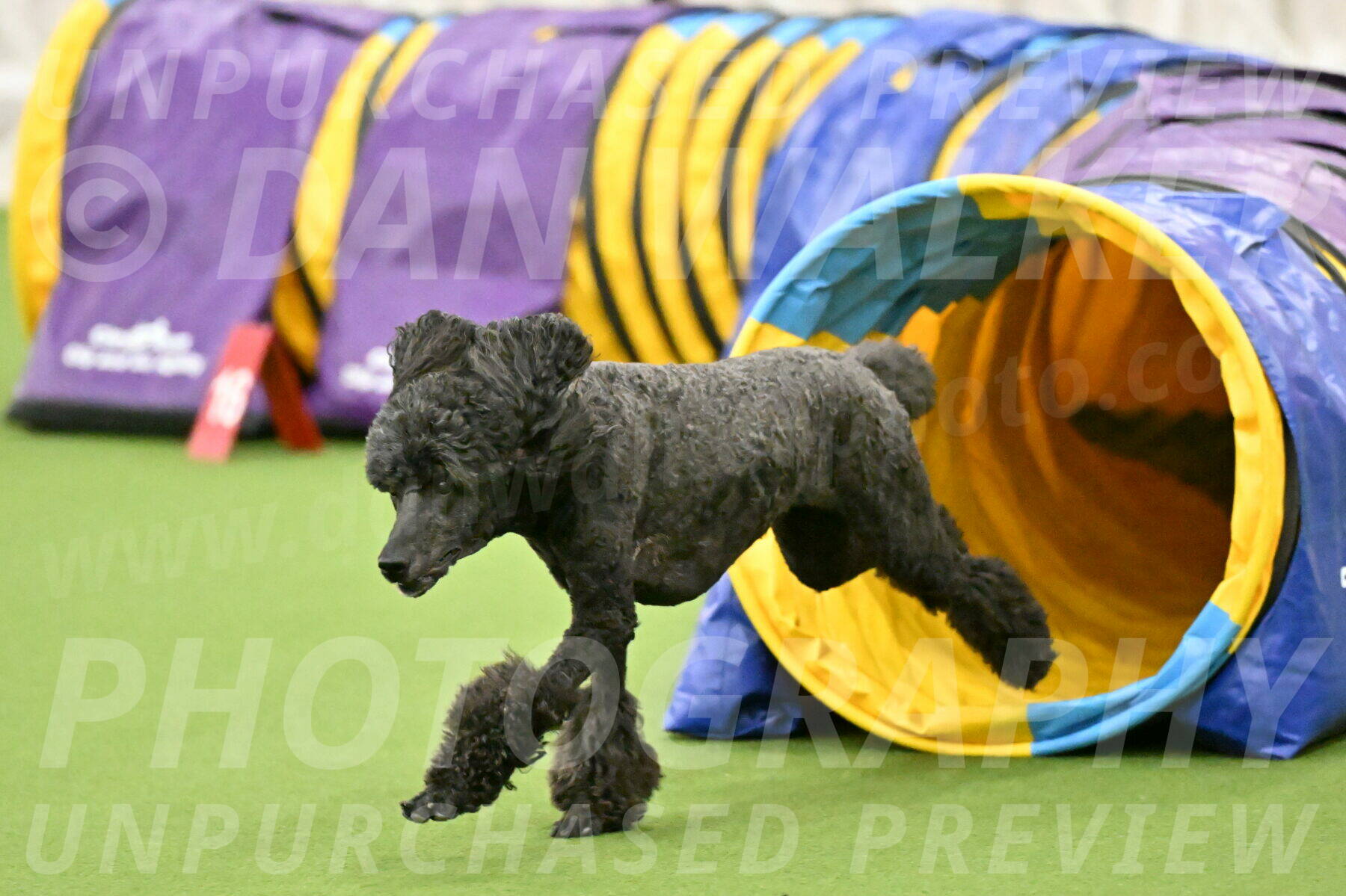 MAS-EX-JWW-20-Inch_2637