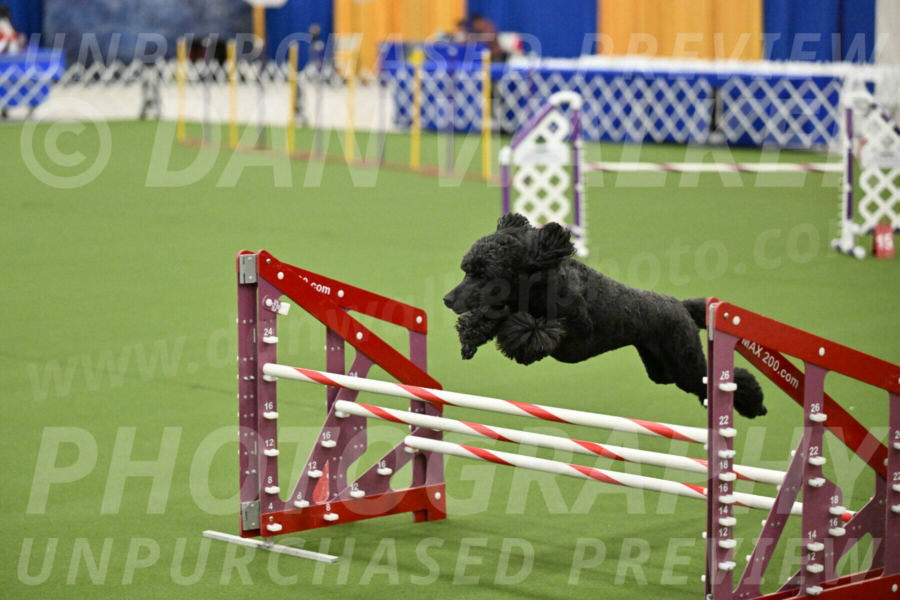 MAS-EX-JWW-20-Inch_2649