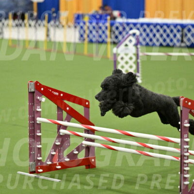 MAS-EX-JWW-20-Inch_2649