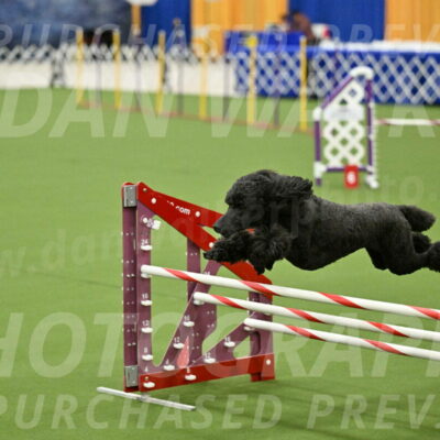 MAS-EX-JWW-20-Inch_2650