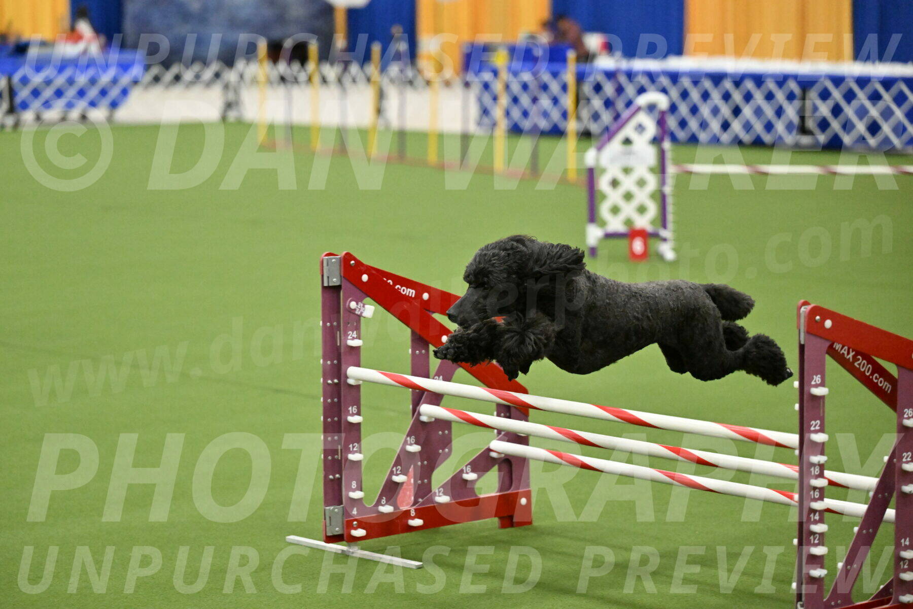 MAS-EX-JWW-20-Inch_2650