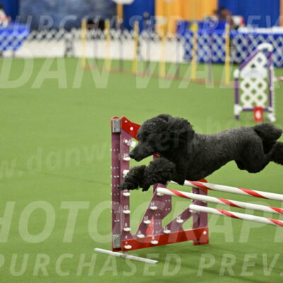 MAS-EX-JWW-20-Inch_2651