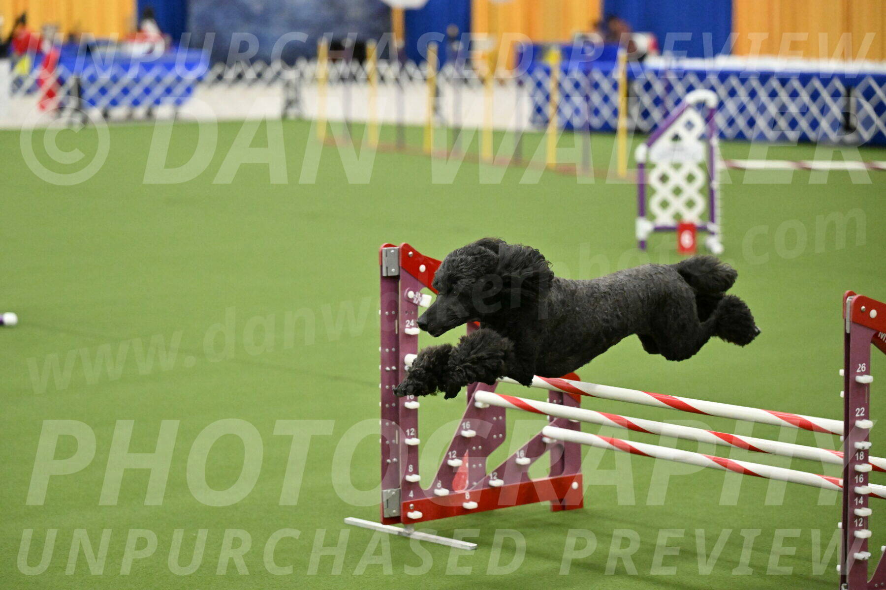 MAS-EX-JWW-20-Inch_2651