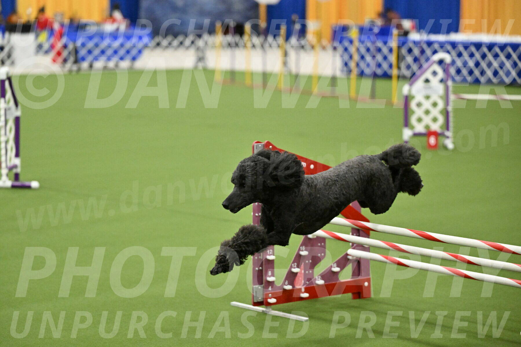 MAS-EX-JWW-20-Inch_2652