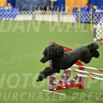 MAS-EX-JWW-20-Inch_2652